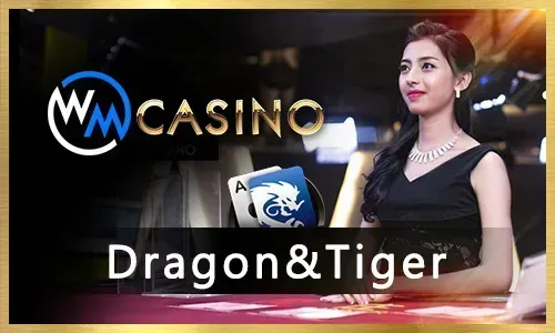 NewJili Live Casino